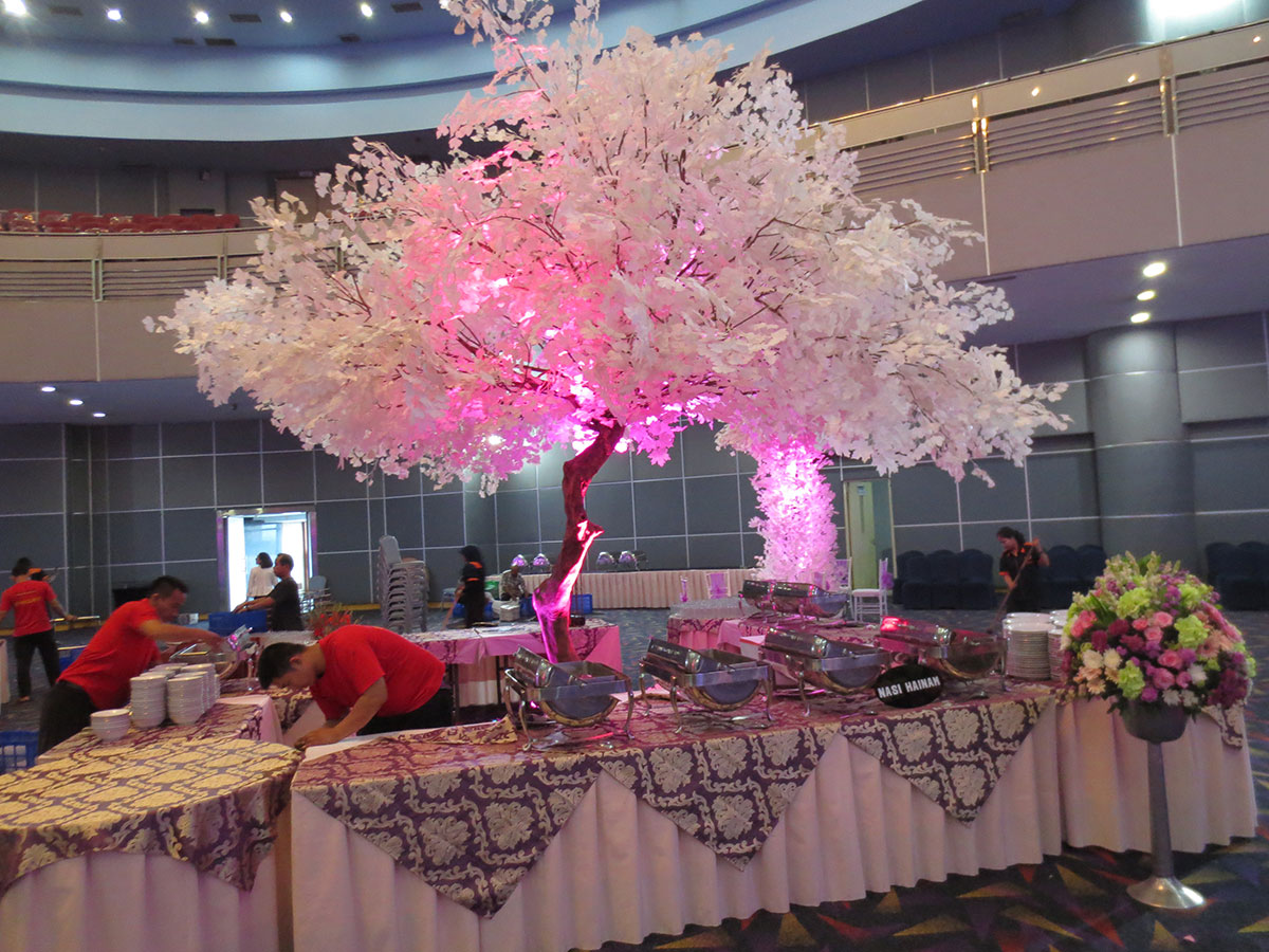 Pohon Maple & Sakura